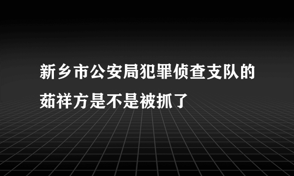 新乡市公安局犯罪侦查支队的茹祥方是不是被抓了
