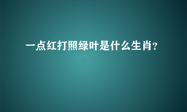 一点红打照绿叶是什么生肖？