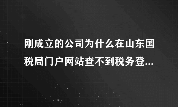 刚成立的公司为什么在山东国税局门户网站查不到税务登记信息?