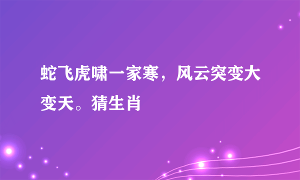 蛇飞虎啸一家寒，风云突变大变天。猜生肖