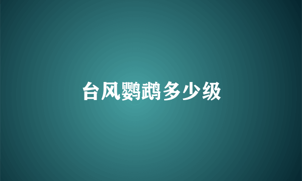 台风鹦鹉多少级