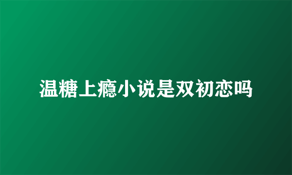 温糖上瘾小说是双初恋吗