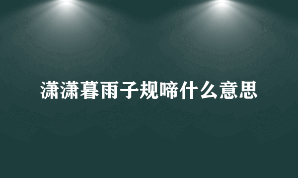 潇潇暮雨子规啼什么意思