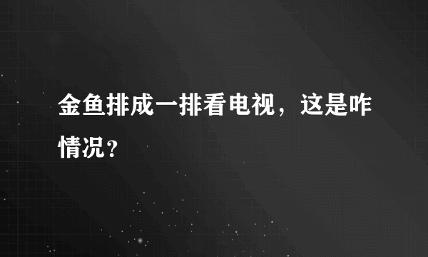 金鱼排成一排看电视，这是咋情况？