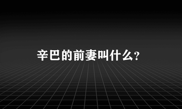 辛巴的前妻叫什么？