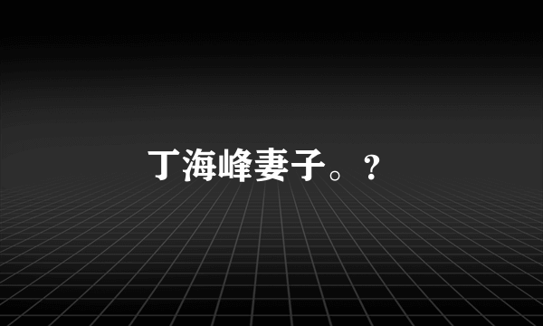 丁海峰妻子。？