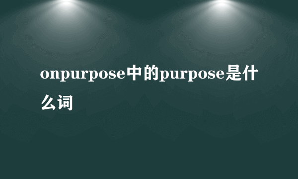 onpurpose中的purpose是什么词
