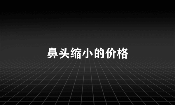 鼻头缩小的价格