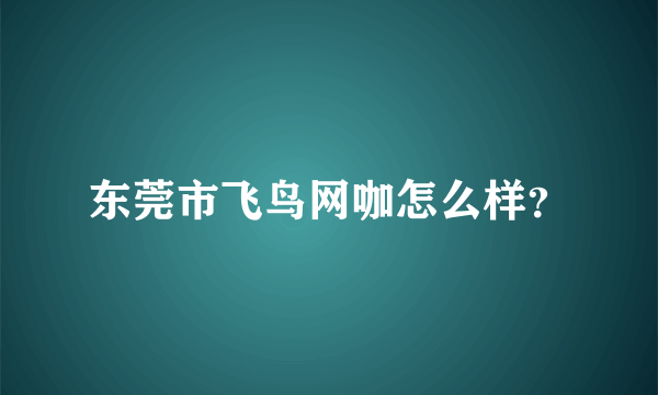东莞市飞鸟网咖怎么样？