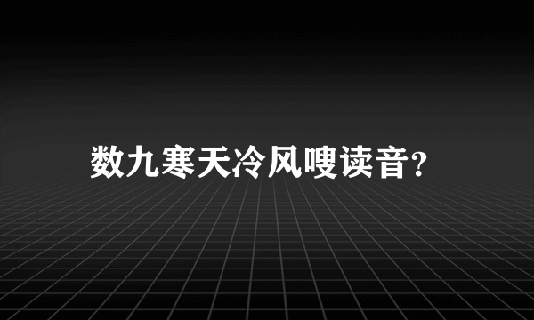 数九寒天冷风嗖读音？