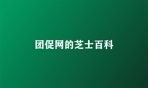 团促网的芝士百科