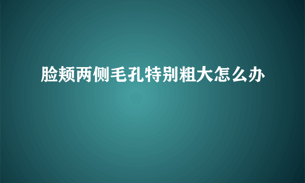 脸颊两侧毛孔特别粗大怎么办