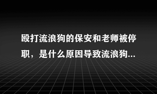 殴打流浪狗的保安和老师被停职，是什么原因导致流浪狗越来越多？