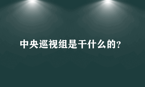 中央巡视组是干什么的？