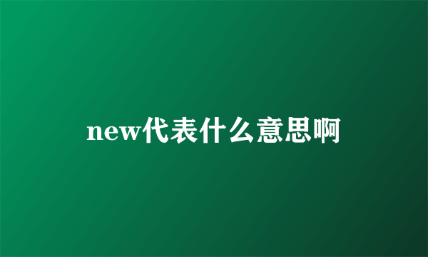 new代表什么意思啊