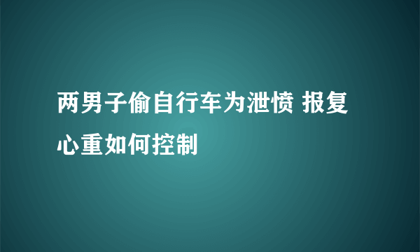 两男子偷自行车为泄愤 报复心重如何控制