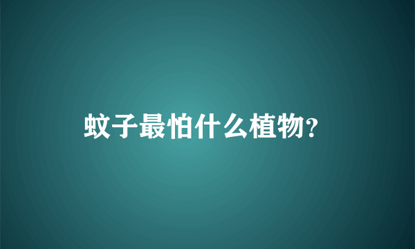 蚊子最怕什么植物？