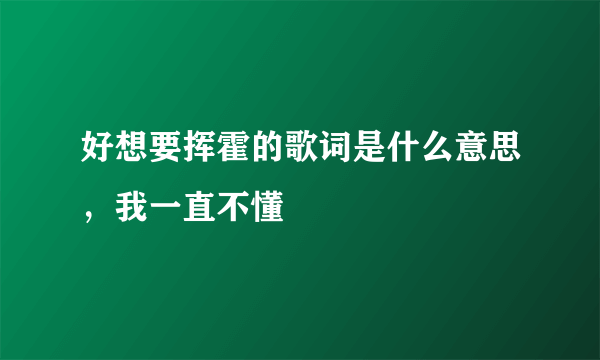 好想要挥霍的歌词是什么意思，我一直不懂