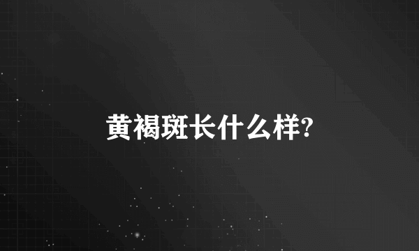 黄褐斑长什么样?