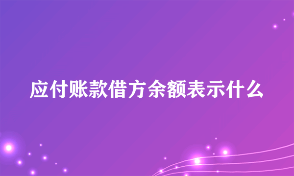 应付账款借方余额表示什么