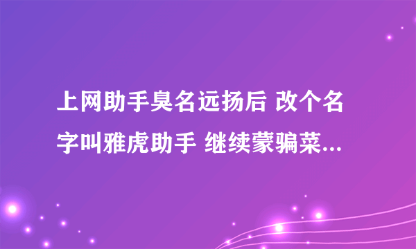 上网助手臭名远扬后 改个名字叫雅虎助手 继续蒙骗菜鸟 说明了什么？