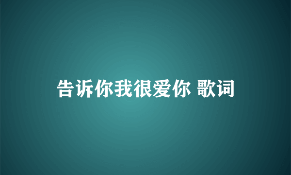 告诉你我很爱你 歌词