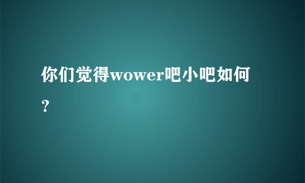 你们觉得wower吧小吧如何？