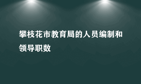 攀枝花市教育局的人员编制和领导职数