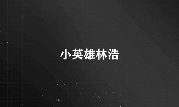 小英雄林浩