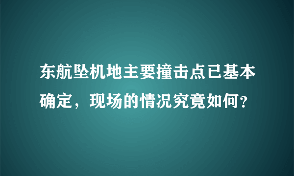 东航坠机地主要撞击点已基本确定，现场的情况究竟如何？