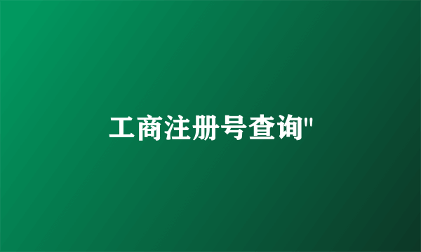 工商注册号查询