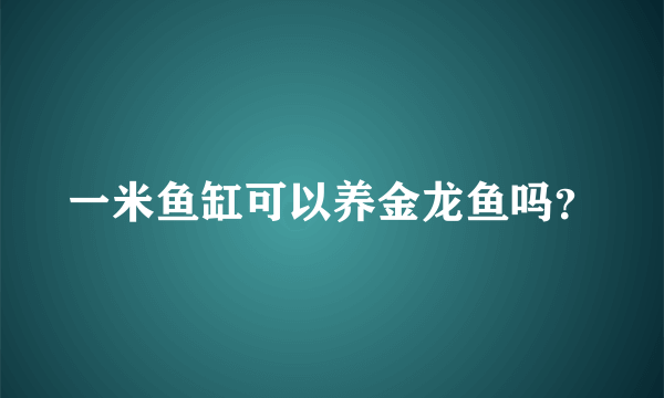 一米鱼缸可以养金龙鱼吗？