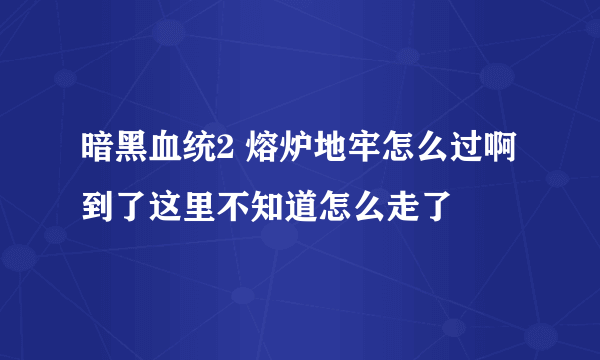 暗黑血统2 熔炉地牢怎么过啊 到了这里不知道怎么走了
