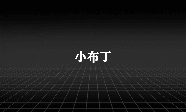 小布丁