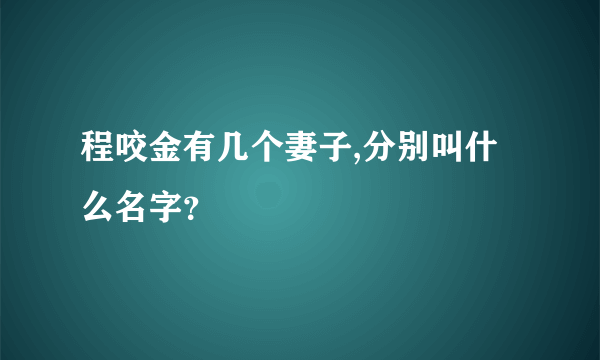 程咬金有几个妻子,分别叫什么名字？