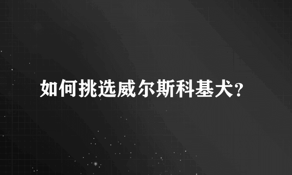如何挑选威尔斯科基犬？