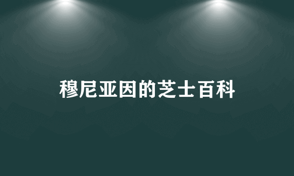 穆尼亚因的芝士百科