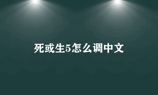 死或生5怎么调中文