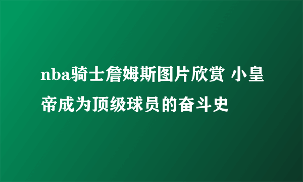 nba骑士詹姆斯图片欣赏 小皇帝成为顶级球员的奋斗史