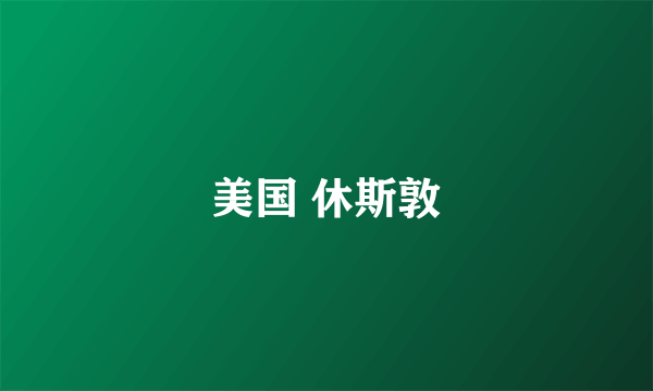美国 休斯敦