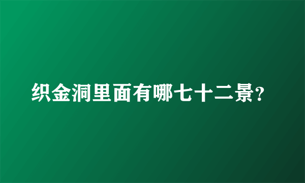 织金洞里面有哪七十二景？