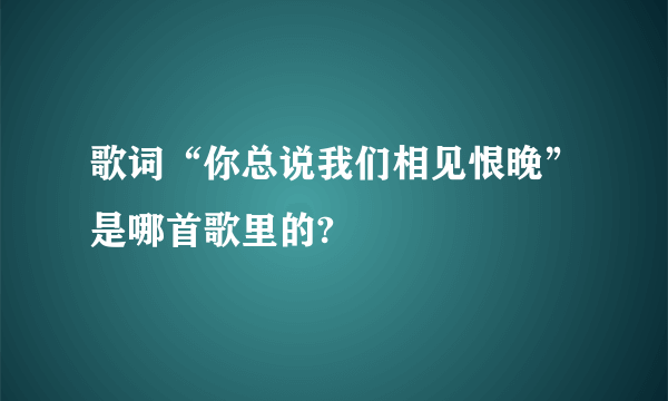 歌词“你总说我们相见恨晚”是哪首歌里的?