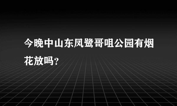 今晚中山东凤鹭哥咀公园有烟花放吗？