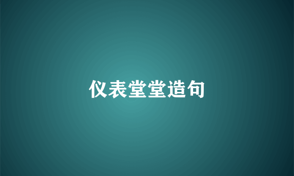 仪表堂堂造句