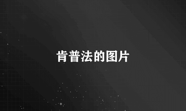 肯普法的图片