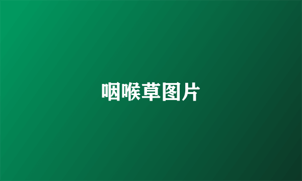 咽喉草图片