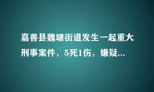 嘉善县魏塘街道发生一起重大刑事案件，5死1伤，嫌疑人抓到了吗？