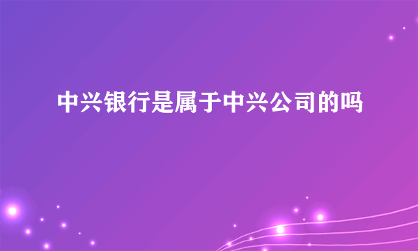 中兴银行是属于中兴公司的吗