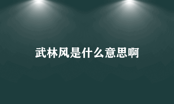 武林风是什么意思啊