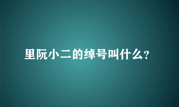 里阮小二的绰号叫什么？